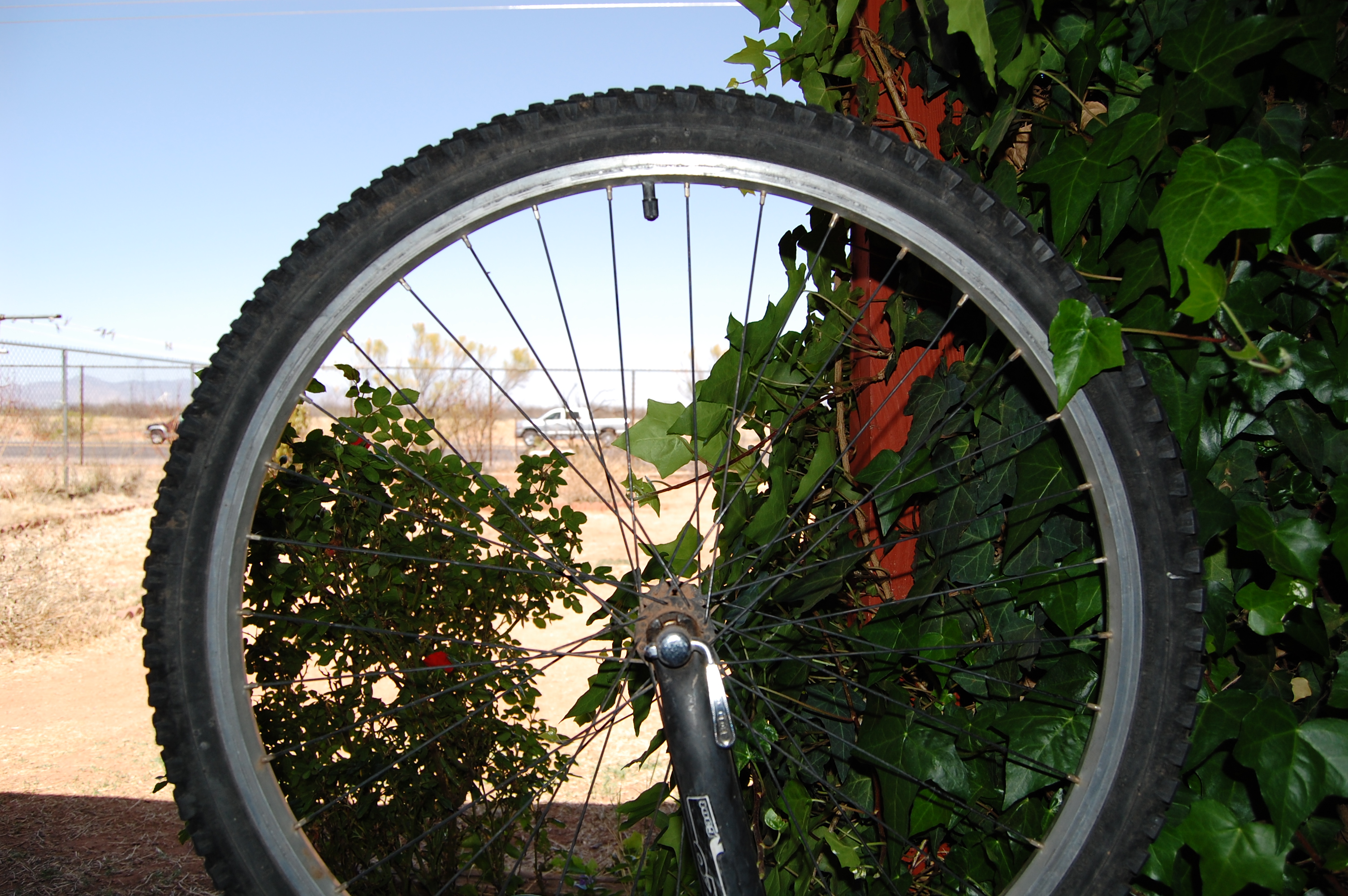 bike_tire_closeup